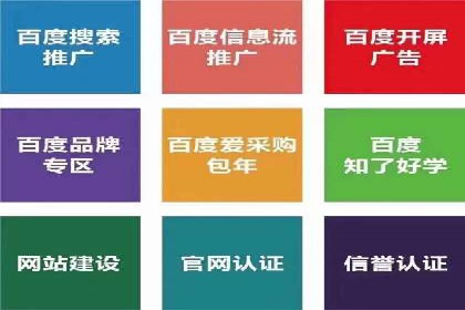 某品牌通过百度广告实现快速增长的案例